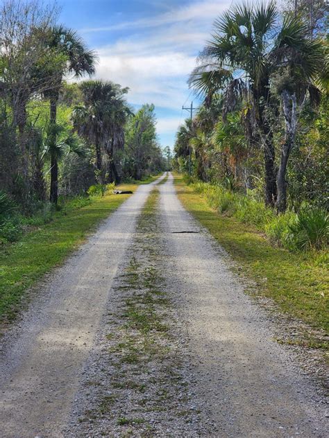 Pink Jeep Campground — Big Cypress National Preserve Immokalee Fl