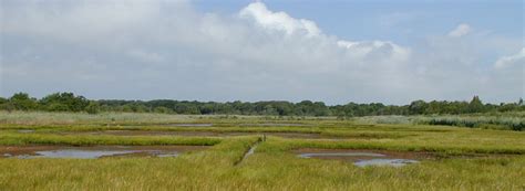 Salt Marsh Habitat Salt Marsh Habitat At Seatuck National  Flickr