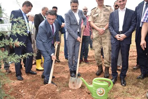 15 Temmuz Demokrasi Şehitleri Anısına 300 Fidan Toprakla Buluştu