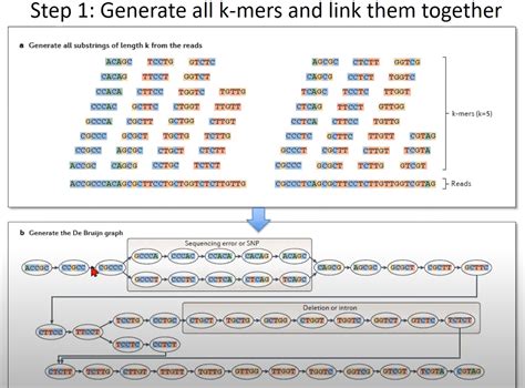 【rna Structures】rna Seq 分析 Rna转录的重构和前沿测序技术 转录组测序和分析原理 Csdn博客