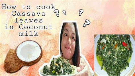 HOW TO COOK CASSAVA LEAVES IN COCONUT MILK PAANO MAGLUTO NG DAHON NG