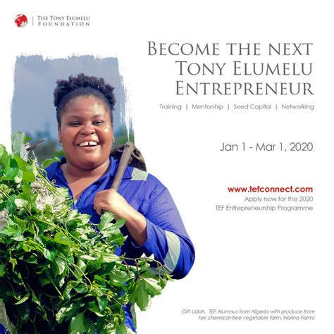 Apply For The 2020 Tony Elumelu Foundation Entrepreneurship Programme