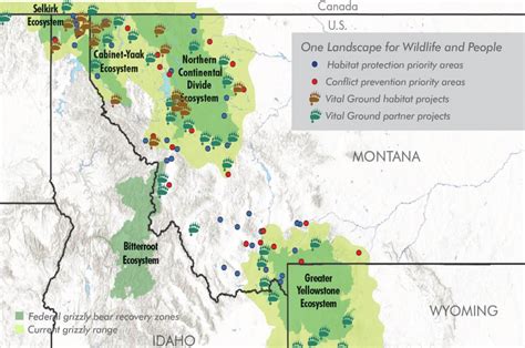 Bears In Montana Map Davine Gabriella