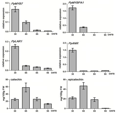 Quantitative Real Time Pcr Qrt Pcr Analysis Of The Expression