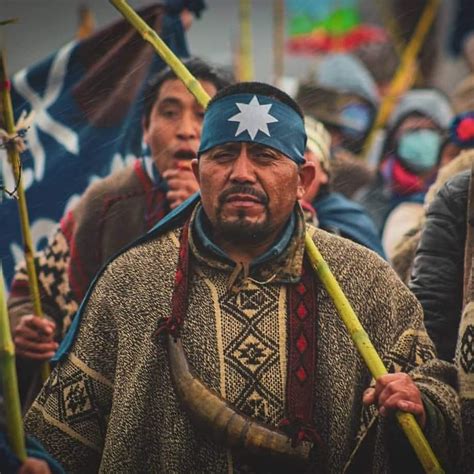 Origen Del Conflicto Y Principales Demandas Del Pueblo Mapuche En Chile