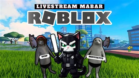 LIVE KUY CARI KONTEN SAMA BANG MINYUAYTO LAGI ROBLOX YouTube