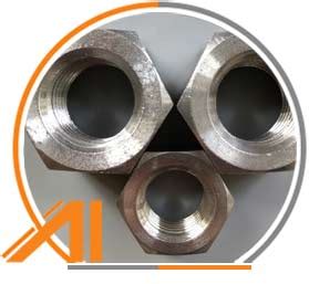 Inconel Fasteners Alloy Hex Bolts And Nuts Manufacturer