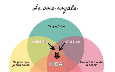 Ikigai Comment Vivre De Ce Qui Nous Passionne