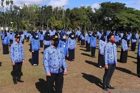 Masih Jadi Persoalan Usulan Formasi Guru Asn Pppk Dari Pemda Dinilai