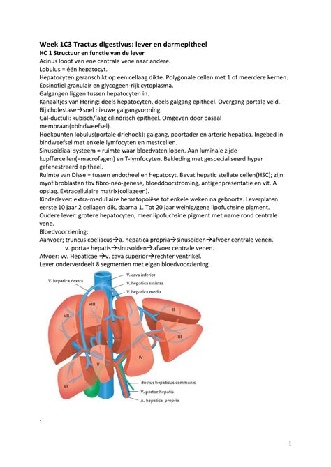 Aantekeningen C Stoornissen In Voeding Metabolisme En Hormonale