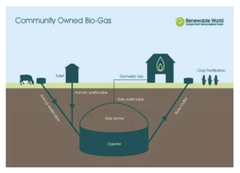 Reforestation And Biofuels Flashcards Quizlet