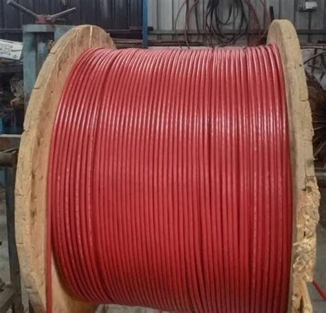 1 5 Sq Mm Red 2 Core Copper Armoured Cable At Rs 30 Meter In Delhi Ellcotech India