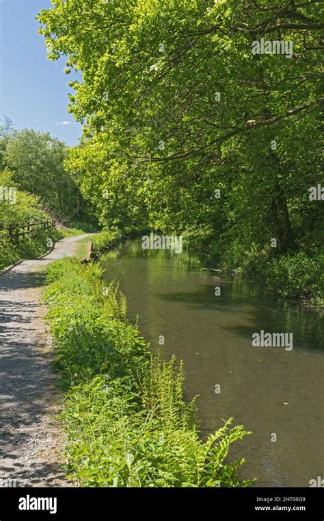 Swansea canal pontardawe wales hi-res stock photography and images - Alamy