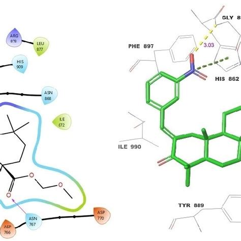 Molecular Docking 2D A And 3D B Ligand Protein Interactions Of 4