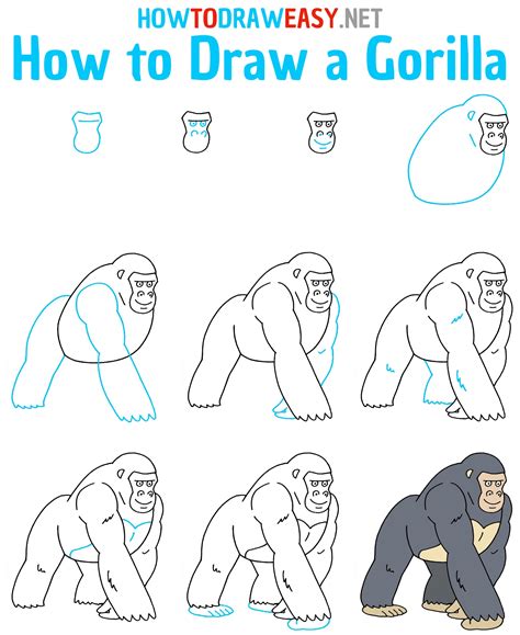 how to draw a gorilla 3