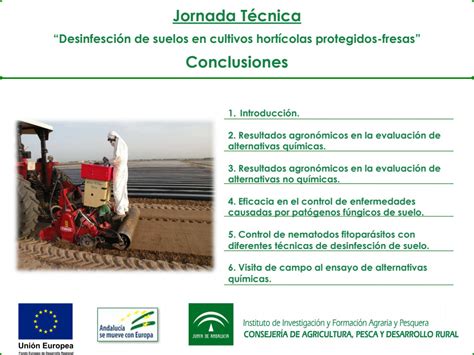 Conclusiones De La Jornada Técnica Desinfección De Suelos En Cultivos