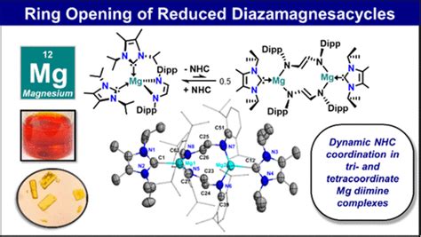 N 杂环卡宾介导的还原二氮杂镁环的开环organometallics X Mol