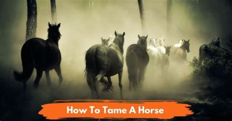 How To Tame A Horse In Real Life? (5 Steps) - National Equine