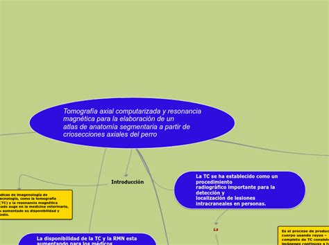 Tomografía axial computarizada y resonanci Mind Map