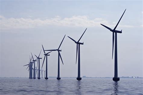 Donghai Bridge Offshore Wind Farm