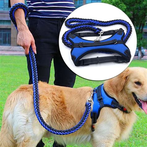 1 Set Big Pet Dedicated Dog Leash And Collar Strands Plaited Rope Dogs