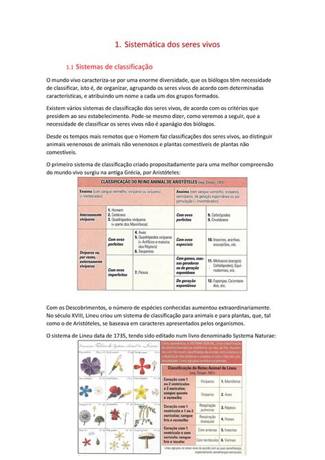 Sistemática dos seres vivos 1 Sistemtica dos seres vivos 1 Sistemas