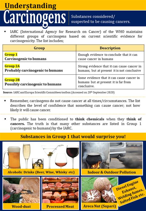 Types Of Carcinogen Definition Meaning And Carcinogenic Foods