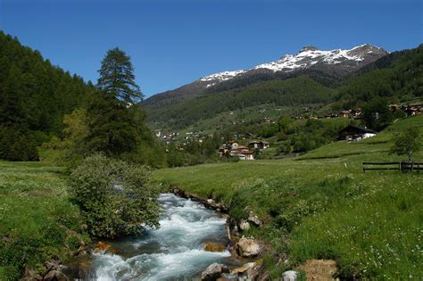 Parco Nazionale Dello Stelvio Consorzio Dimaro Folgarida Vacanze