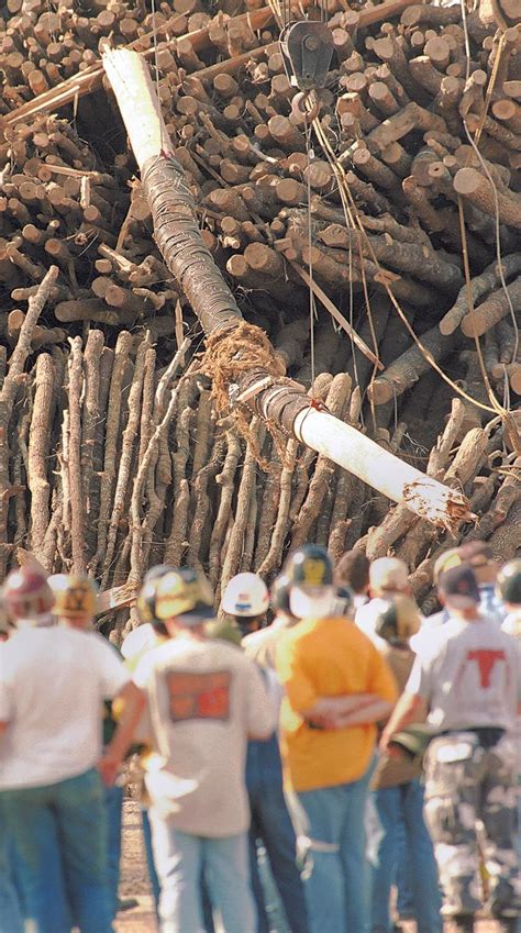 Victims of Aggie Bonfire collapse remembered daily at Brison Park ...