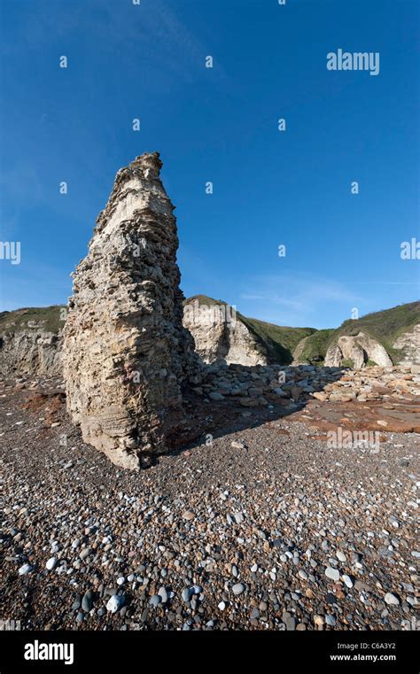 Magnesian Limestone Sea Stack On Blast Beach Near Seaham In County