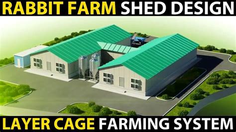 Rabbit Farm Shed Design Rabbit Farm Cage System Layer Cage Rabbit