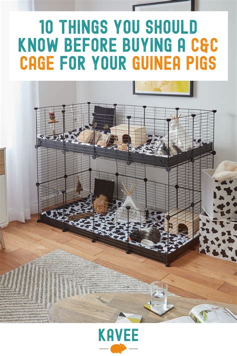 The Ultimate Guide To Cc Cages For Guinea Pigs Artofit