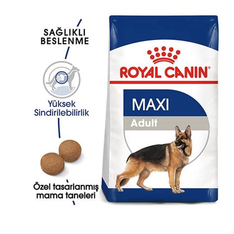 Royal Canin Maxi Adult Yetişkin Köpek Maması 15 Kg