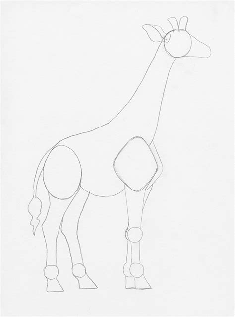 How To Draw A Giraffe Step By Step