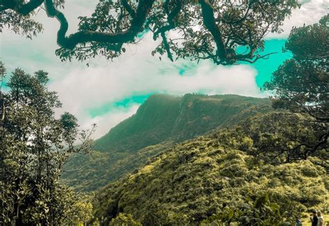 Pidurutalagala Mountain Sri Lanka S Highest Peak