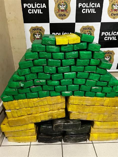 Pol Cia Apreende Meia Tonelada De Maconha