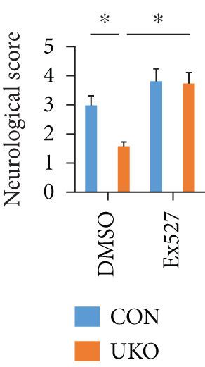 Usp Inhibition Protects Against Cerebral I R Injury Through Sirt In