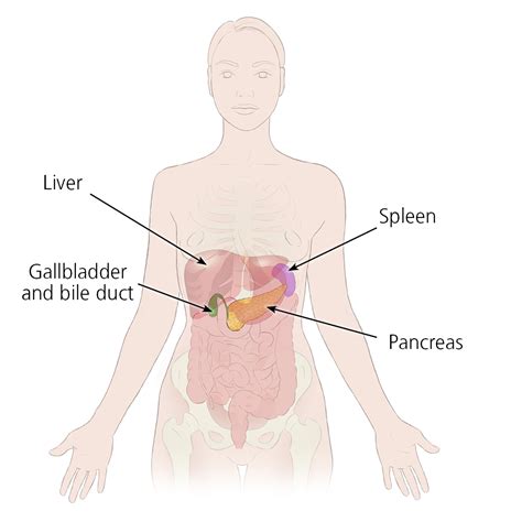 pancreas kiylahmija