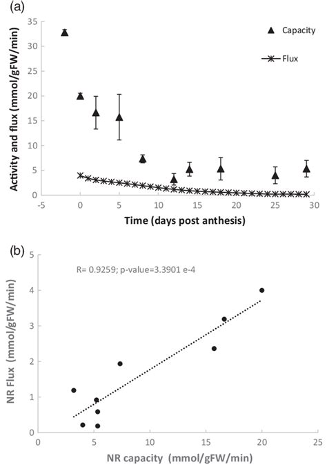 A Time Course Of The Calculated Flux Of Nitrate Reductase Nr Mmol G