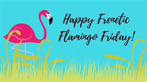 Happy Frenetic Flamingo Friday Youtube