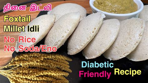 Thinai Idli Recipe Foxtail Millet Idli Recipe In Tamil Millet Idli