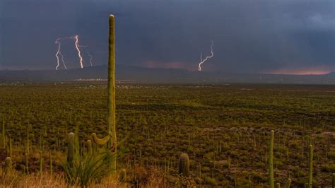 The smell of desert rain may be good for your health | University of ...