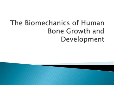 SOLUTION The Biomechanics Of Human Bone Growth And Development Studypool