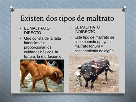 Maltrato Animal