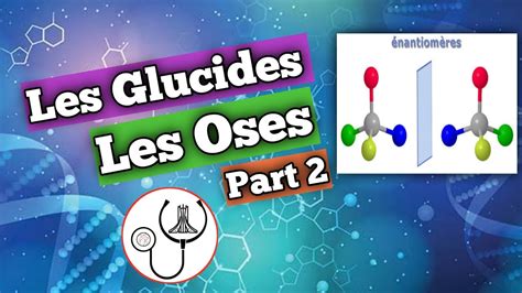 Biochimie Les Glucides Part Er Ann E M Decine Youtube