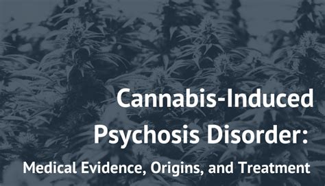 Cannabis Induced Psychosis Disorder New Paradigm Recovery