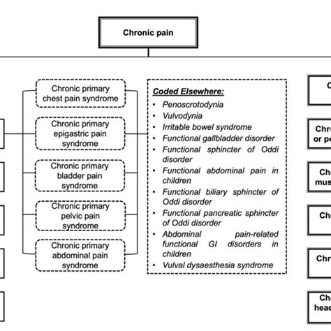 figure classification  chronic pain chronic primary pain  chronic