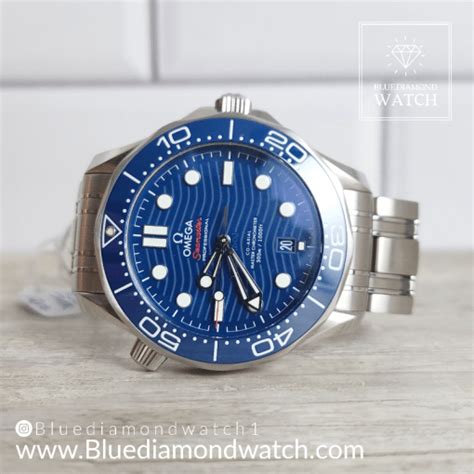 Omega Seamaster Professional Stainless Steel and 18k Gold Blue Dial ...