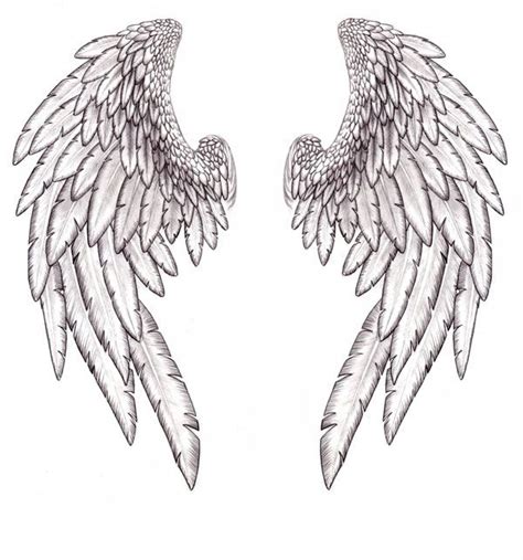 Sketches Of Angel Wings Related Keywords And Suggestions Sketches Of