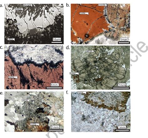 Photomicrographs Of Biotite In The Micaceous Domain 4 A Sample